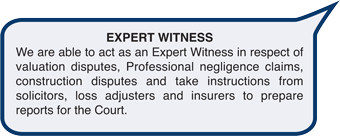 expert witness